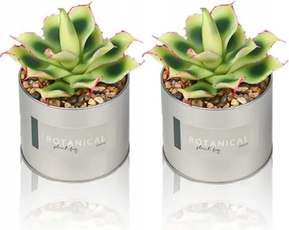 Mesterséges növények Pipetta 2db Pozsgás Virágtartó