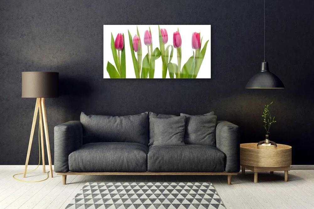 Akrilkép Tulipán virágok Plant 100x50 cm