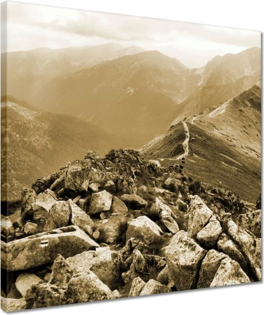 Vászonkép 40x40 Tátra Lengyel hegyek Kilátás