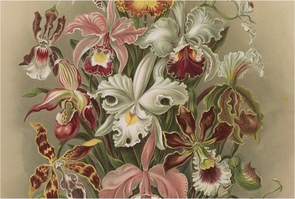 Fotótapéta Flizelin Fali Ragasztó Szett Virágos elegancia 104x70 Ragasztó