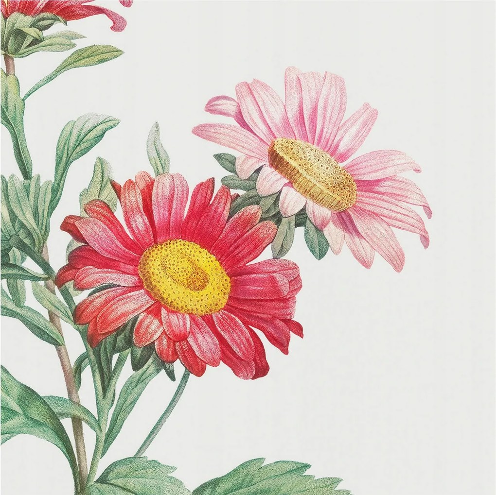 Fali fotótapéta Étkezőbe Finom virágok 250x250 Ragasztó