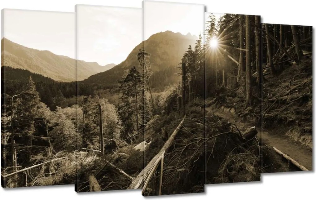 Festmények 100x60 Szépia tájkép Szépia