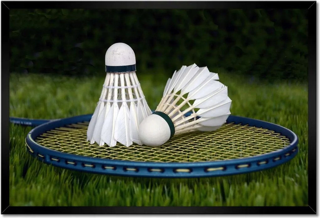 Poszterek keretben 60x40 Tollaslabda paletta