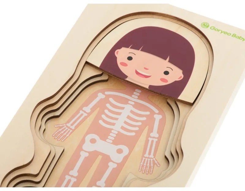 Fa puzzle - Emberi test Egyéb változatok: Lány