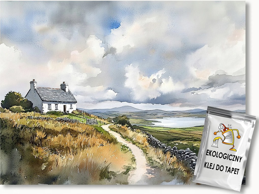 Fotótapéta Flizelina Tájkép Írország Tengerpart Öböl Domb 254x184 ragasztó