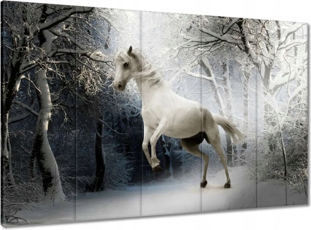 Vászonkép 100x70 Fehér paripa