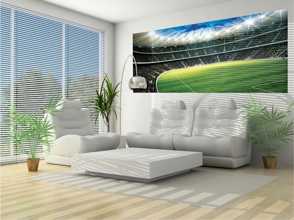 Fotótapéta flizelina Stadion Futball Energia játék Érezd a skálát 250x104 +ragasztó