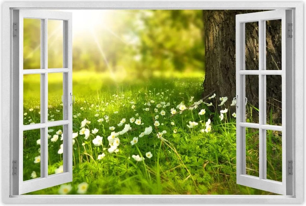 Poszterek 60x40 Sugár a réten