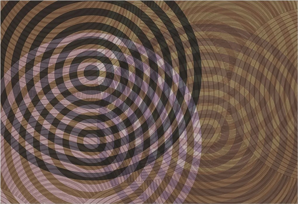 Fotótapéta Falra az előszoba konyhájába Hipnotizáló körök 152x104 Ragasztó