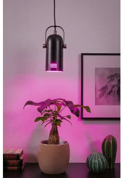 Paulmann 79766 - LED RGBW 1xE27/15W kábeles csillár LAVEA 230V fekete