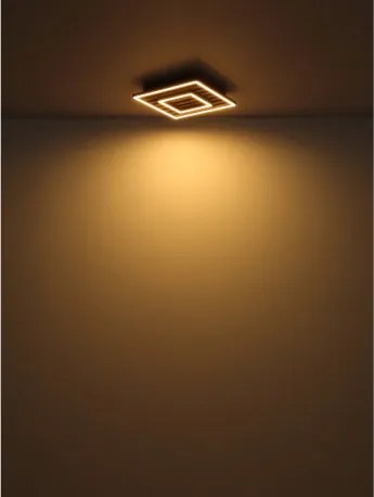 GLOBO 67345D FAY Modern LED Mennyezeti Lámpa IP20
