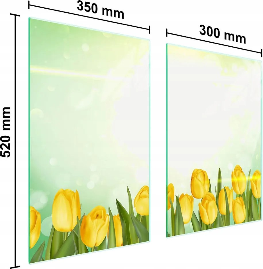 Üveg Konyhai Védőlap 65x52 Tulipán
