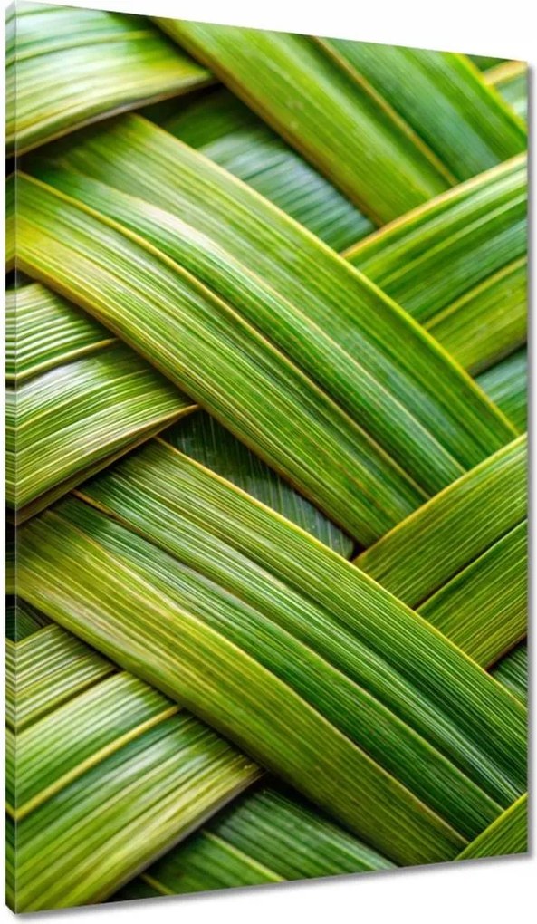 Vászonkép 60x90 Zöld fonott Zöld rattan fonott lemez