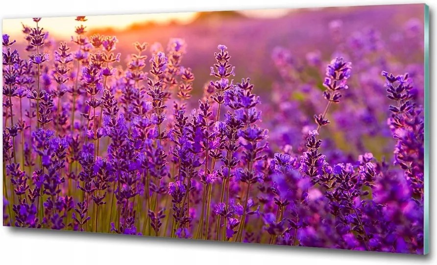 Fotó kép fotó edzett üveg Fű 125x50