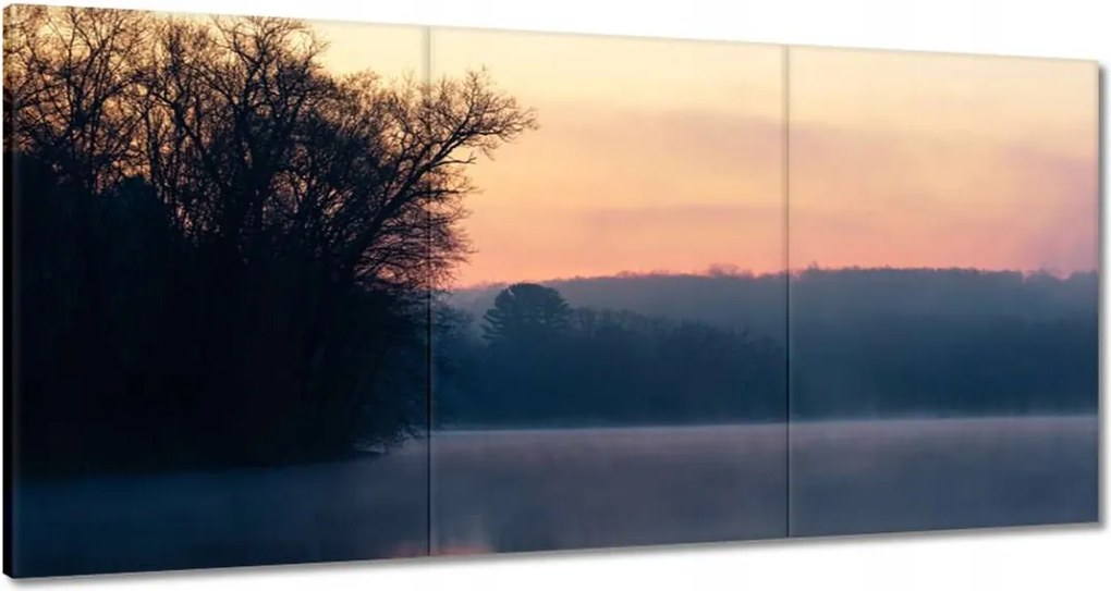 Vászonkép 120x60 Tél Köd Erdő Tó