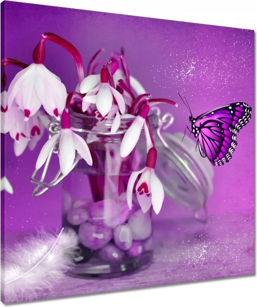 Vászonkép 60x60 Hóvirág és pillangó