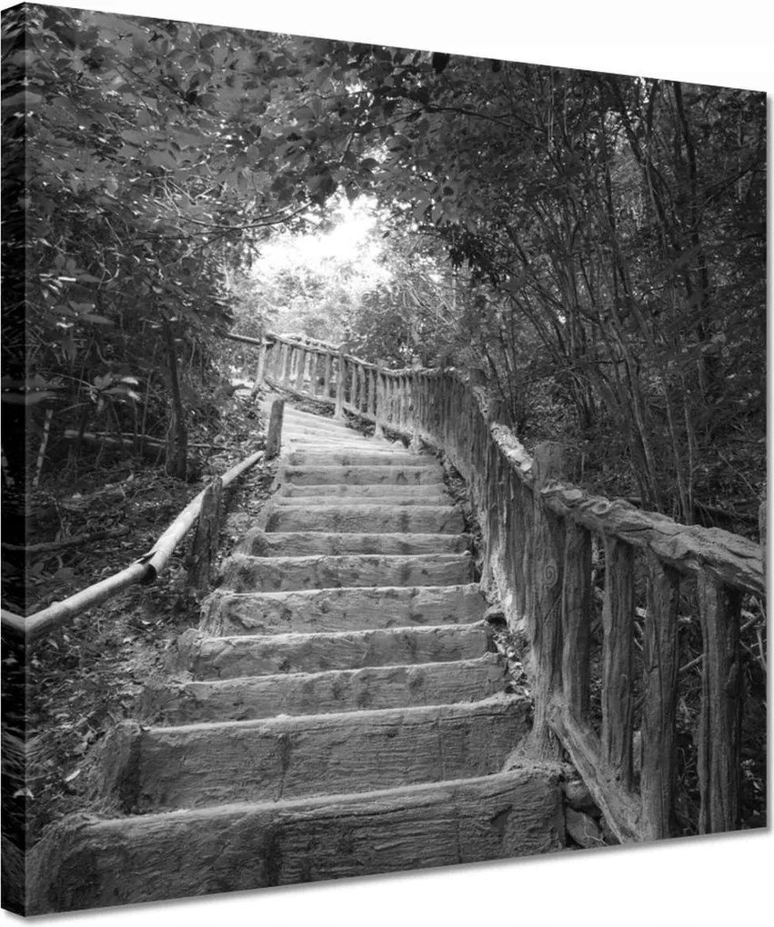 Vászonkép 30x30 Lépcsők a trópusokon