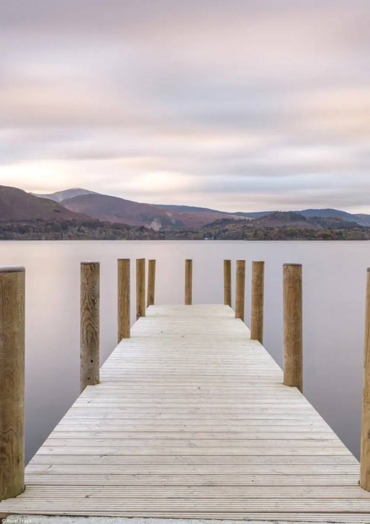 Poszter 21x29,7cm, Assaf Frank