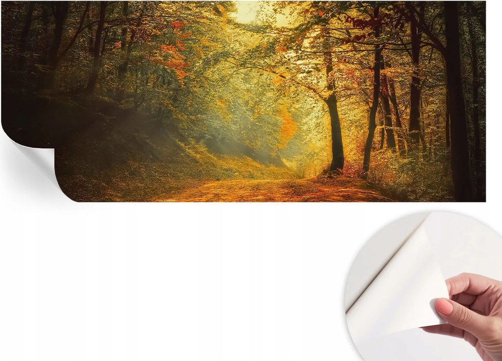 Öntapadós Stílusos Dekoratív Fotótapéta Őszi tájkép 250x104 cm