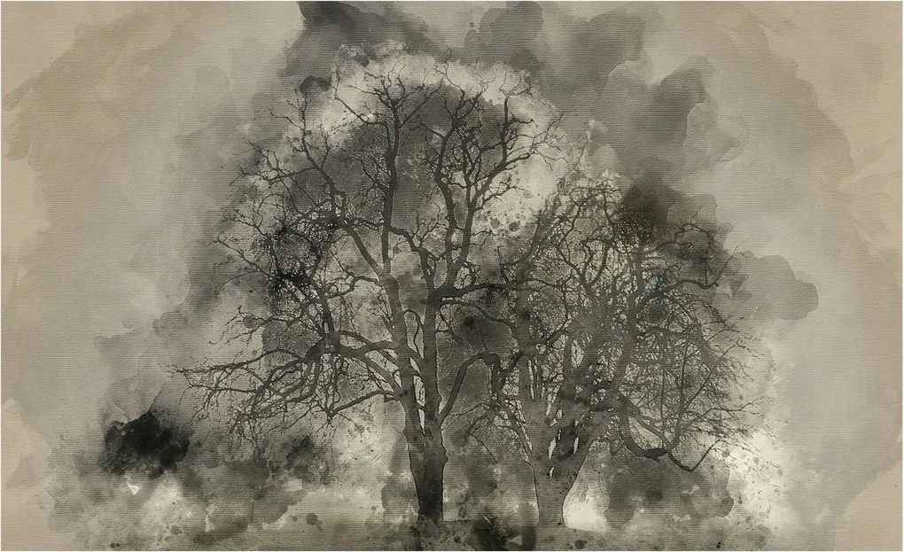 Fali fotótapéta előszoba konyhába Rejtélyes fák 416x254 Ragasztó