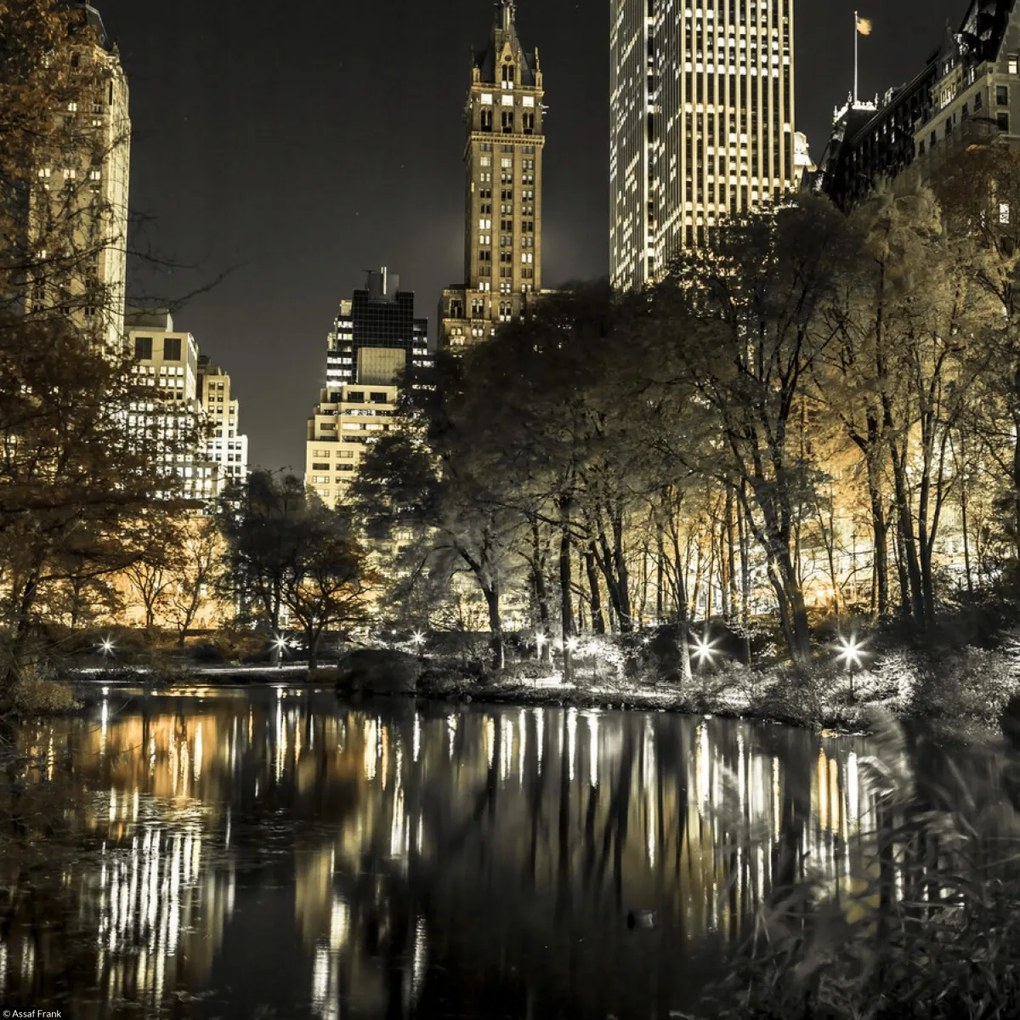 Poszter 30x30cm Esti kilátás a New York-i Central Parkra 9, Assaf Frank