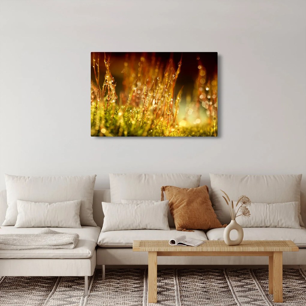 Kép - Harmat részlete (90x60 cm)