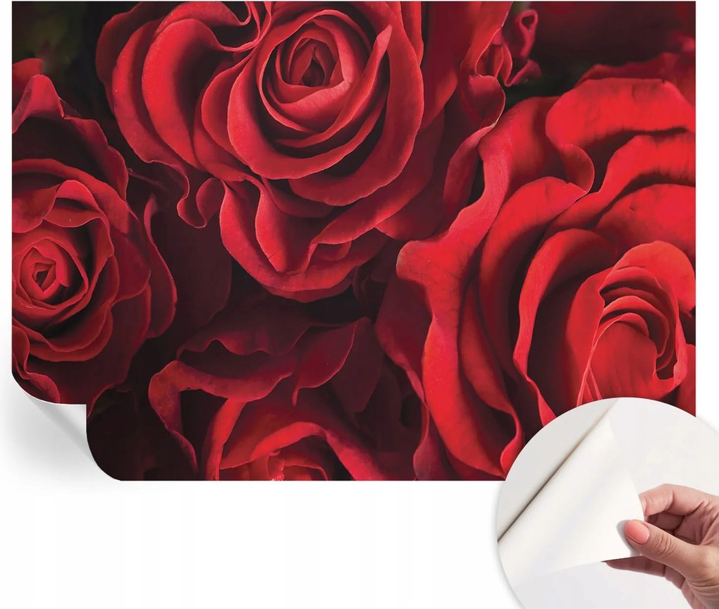 Dekoratív öntapadós fotótapéta Hálószobába Vörös rózsák 208x146 cm