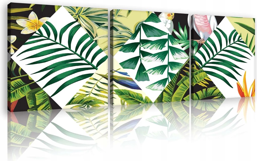 Vászonkép 75x25 Trópusok egzotikus pálmalevelek papagáj természet nyár dzsungel