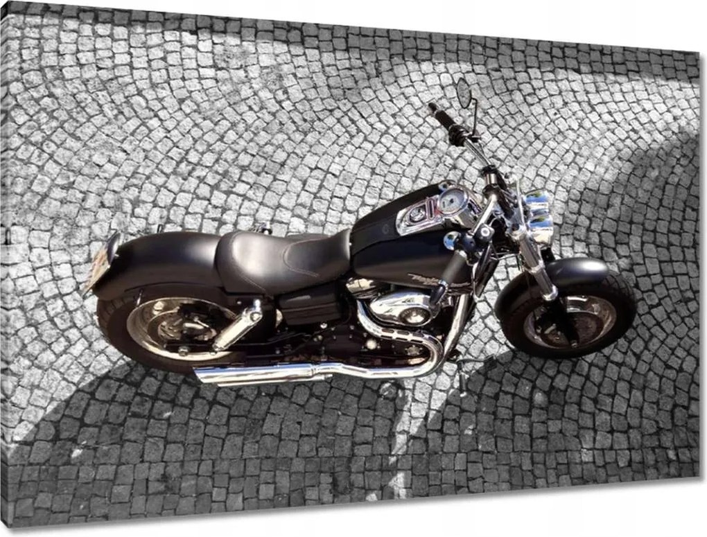 Festmények 90x60 Harley Davidson