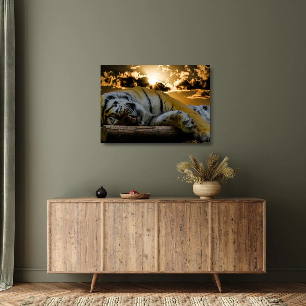Alvó tigris képe (üvegen) (70x50 cm)