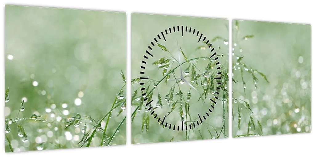 Kép - Harmat a fűben (órával) (90x30 cm)