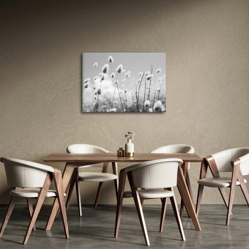 Kép - Boho nyuszi farok fű (70x50 cm)