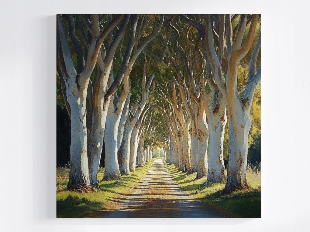 Poszter Fautópad Út Erdő Természet Tájkép 80x80