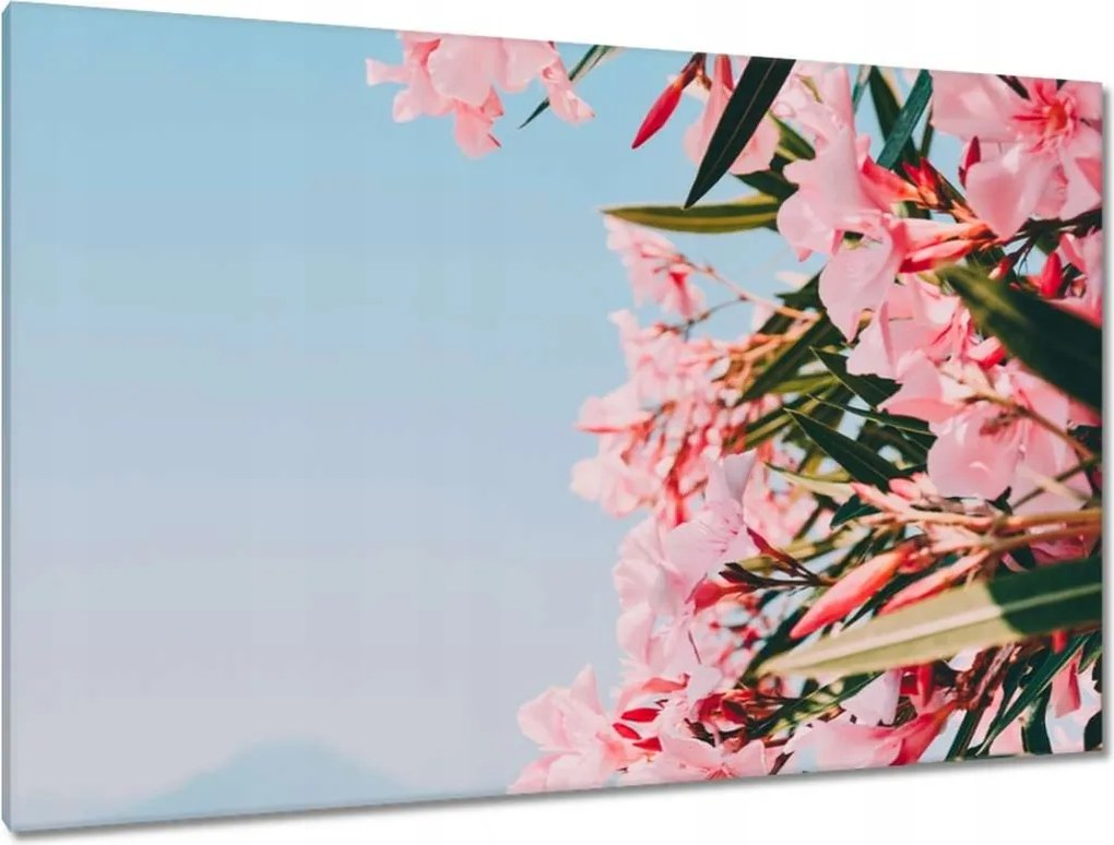 Vászonkép 120x80 Virágok