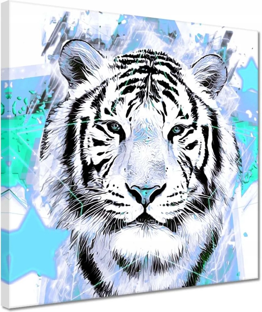 Vászonkép 30x30 Tigris csillag türkiz