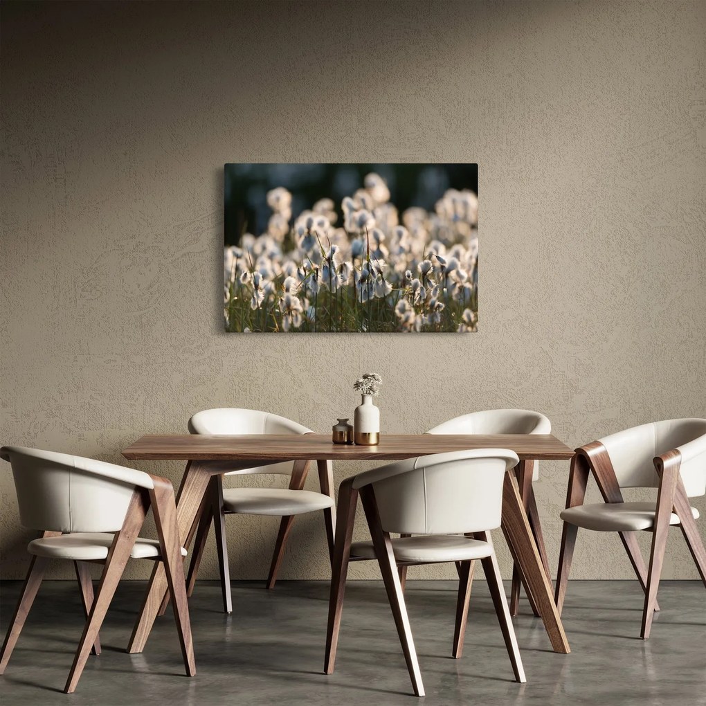 Kép - Keskenylevelű gyapjúsás (90x60 cm)