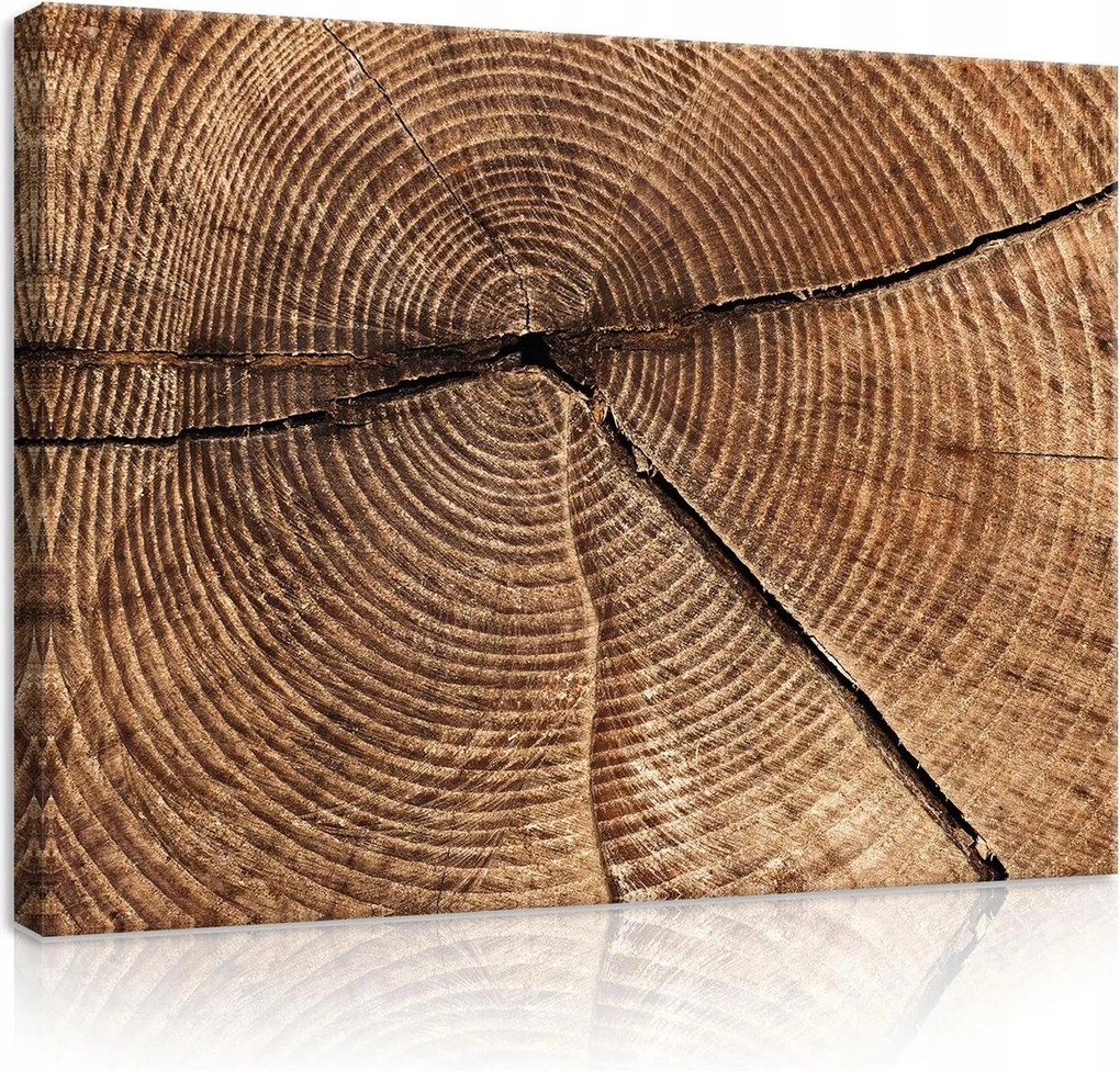 Vászonkép falikép barna bézs fa tégelyek 75x100