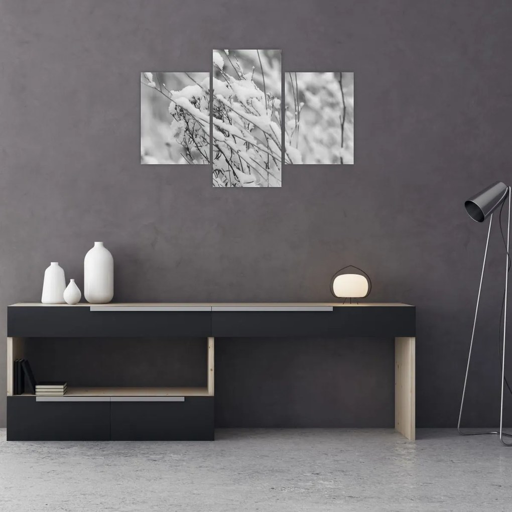 Kép - Havas ágak (90x60 cm)