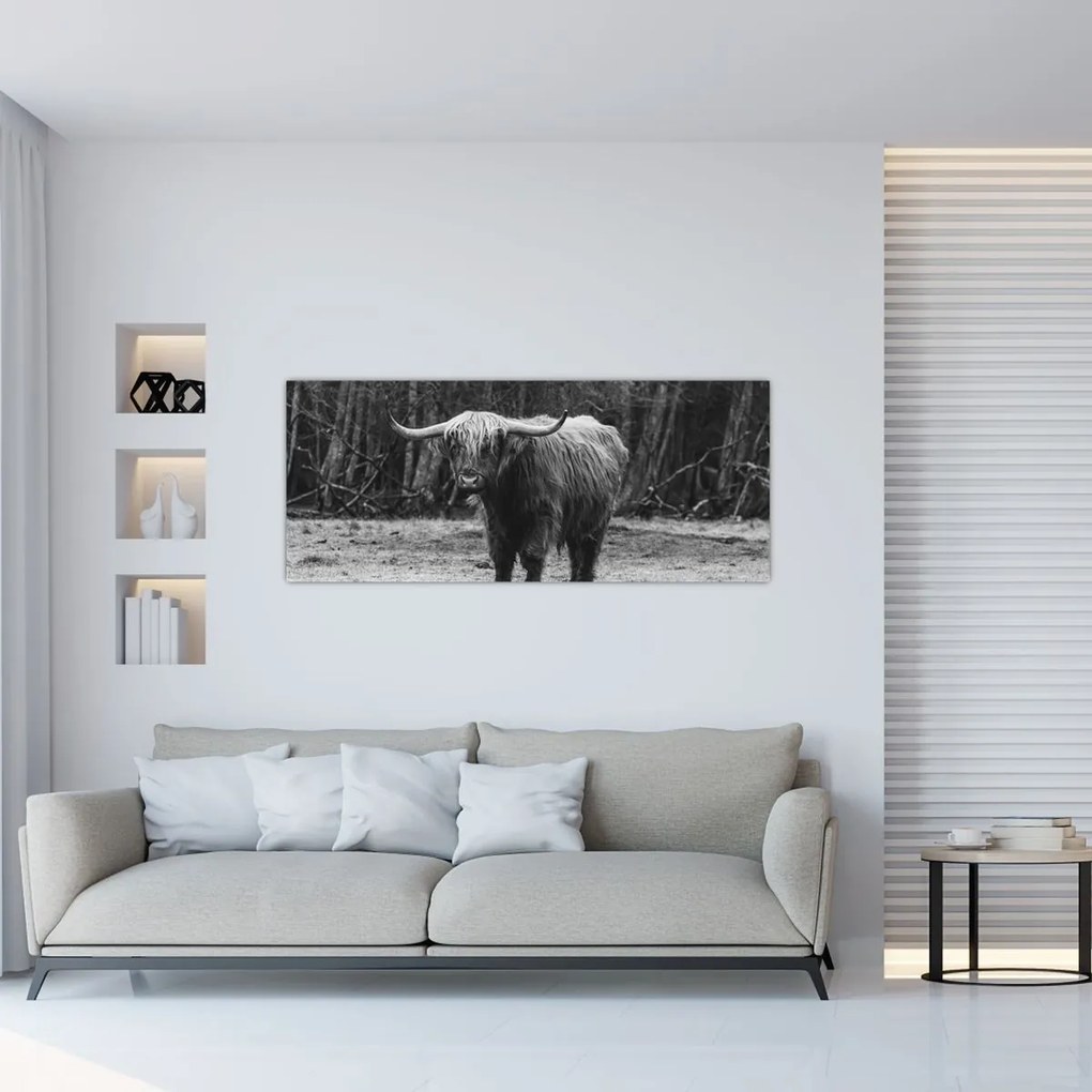 Kép - Skót tehén (120x50 cm)