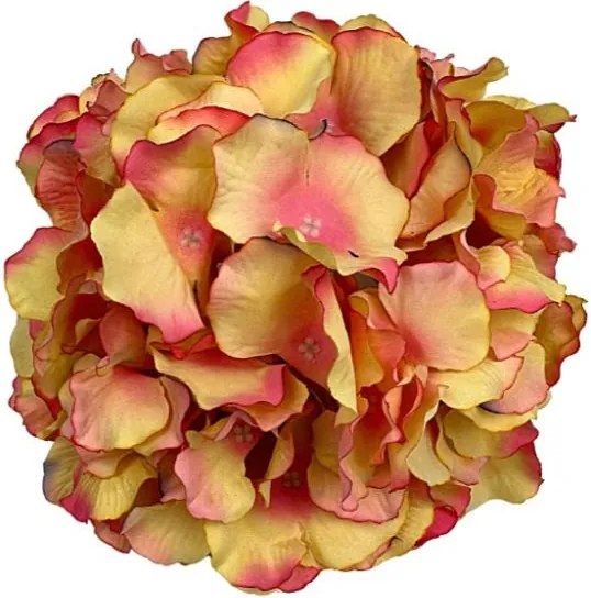 Hortenzia nagy fej 21 cm barackszínű