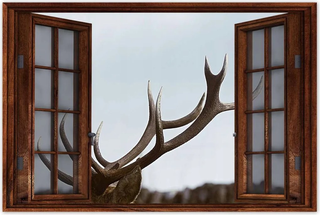 Poszter 60x40 Szarvas felszarvazott