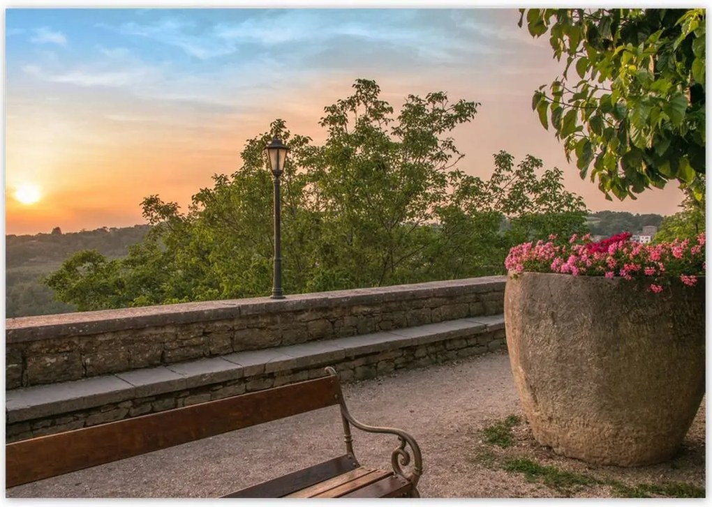 Poszterek 100x70 Naplemente Virágok