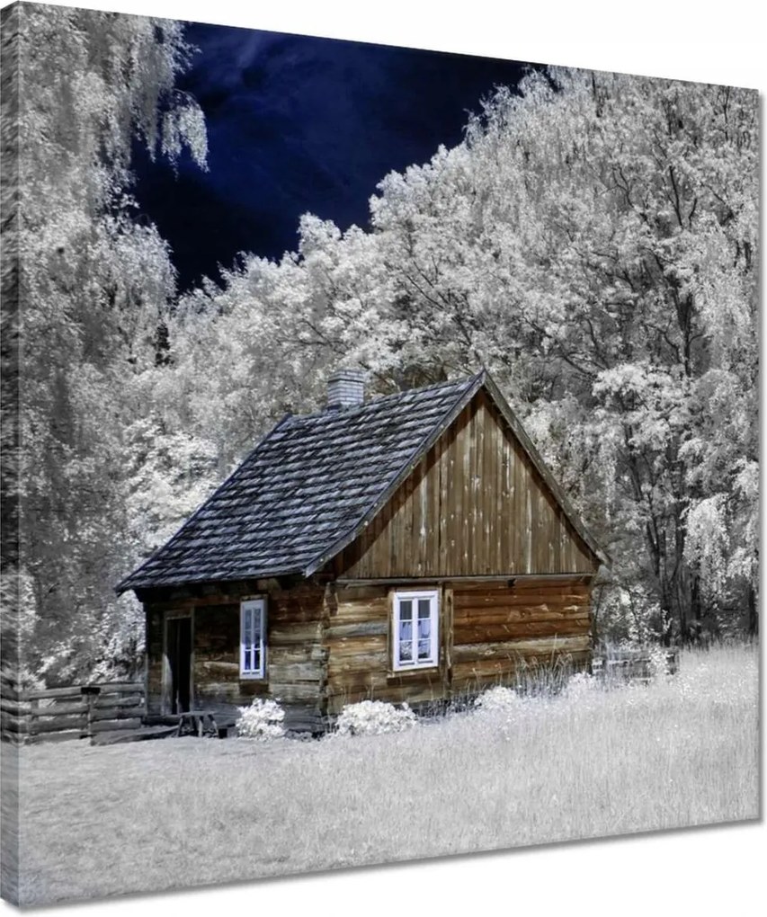 Vászonkép 40x40 Rönkház