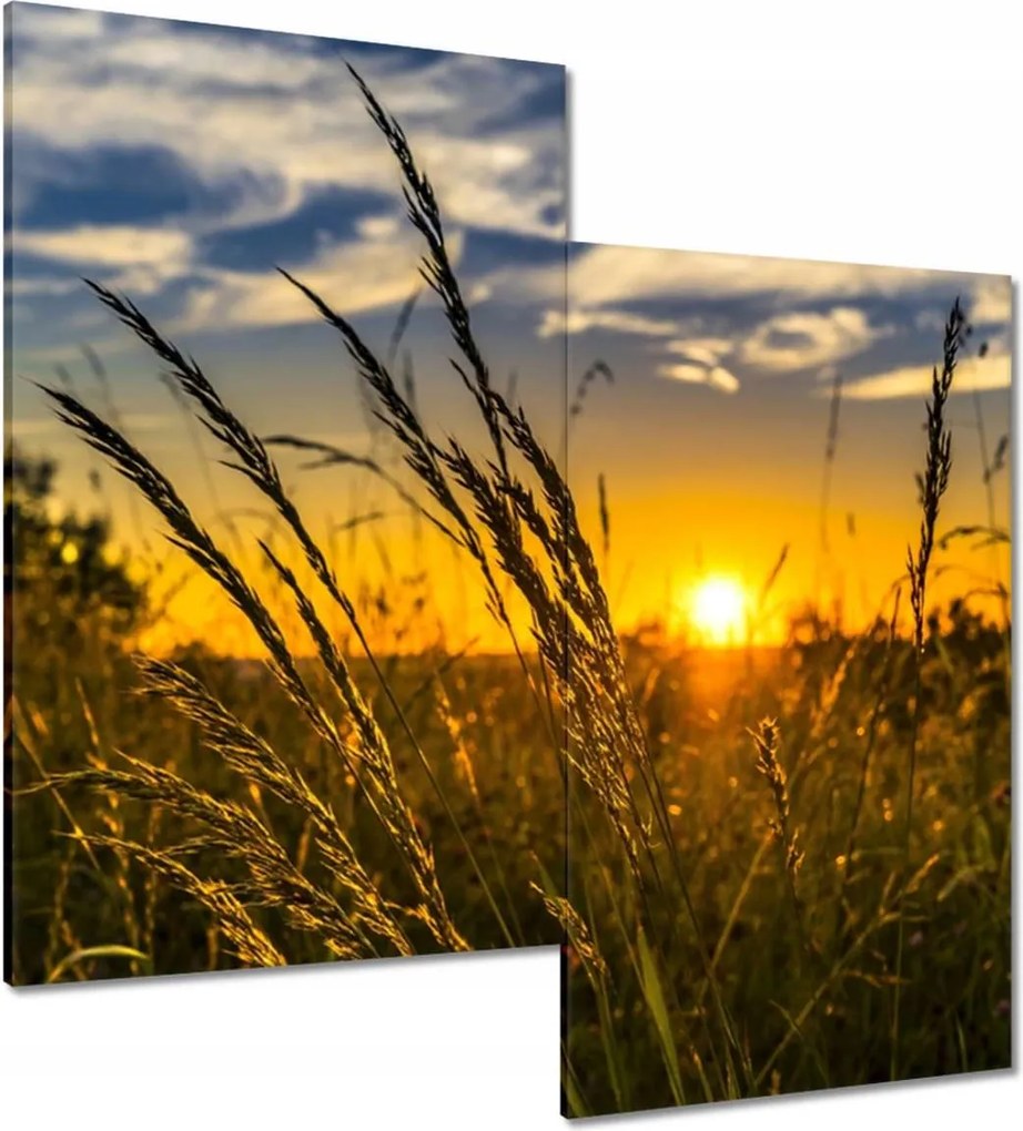 Vászonkép 60x60 Naplemente a füvek között