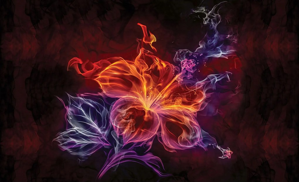 Fotótapéta Virágos vinil Absztrakt tűz és fény 368x254 +ragasztó