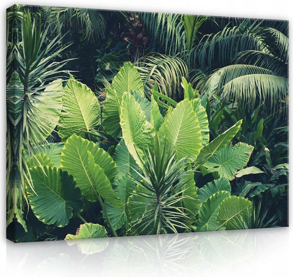 Vászonkép 100x75 Trópusok dzsungel levelek zöld természet egzotikus frissesség