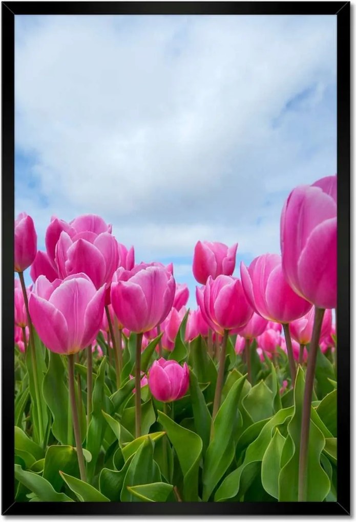 Poszterek keretben 40x60 Tulipánok Virágok