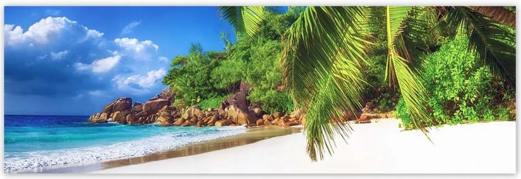 Poszterek 200x66 Trópusok Tájkép Pálmafák