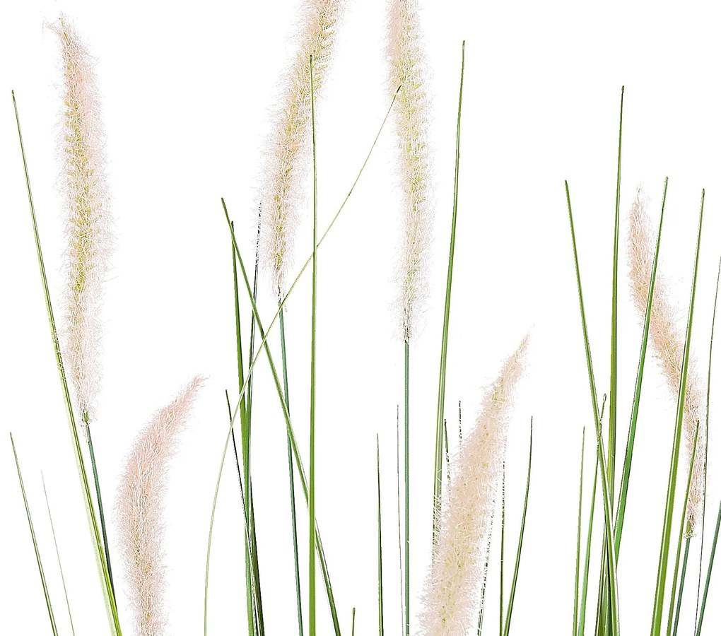 Műnád Virágcserépben 87 cm REED PLANT Beliani