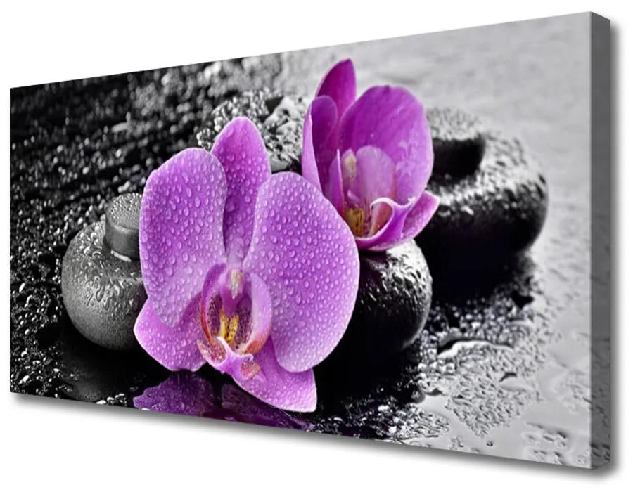 Vászonkép Orchidea virágok orchidea Spa 125x50 cm